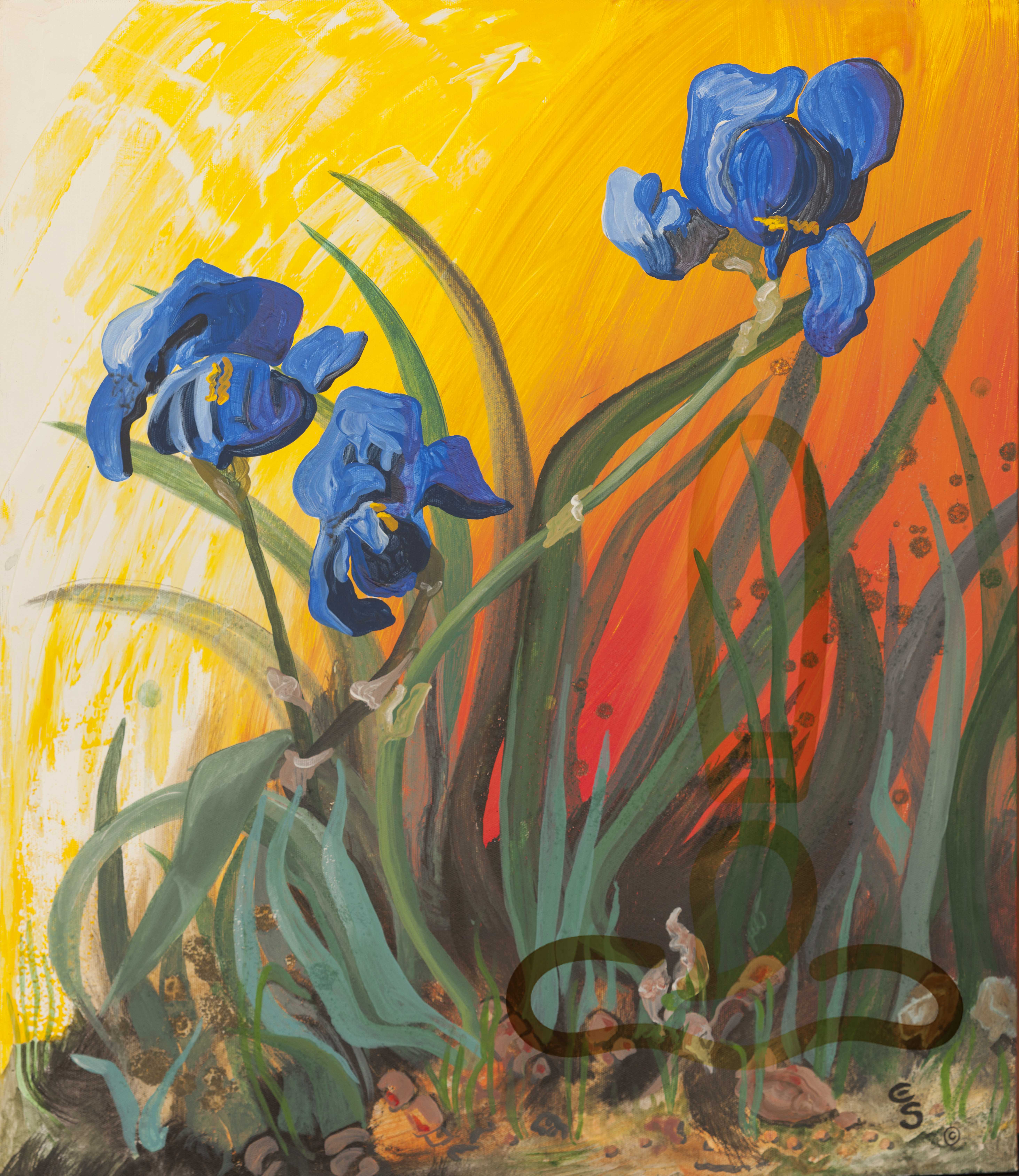 Irises